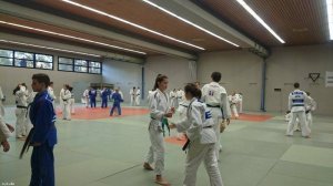 Blick auf die Trainingsfläche