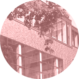 Neubau Front im Juni 2019 Front HT16 Neubau Stand Juni 2019